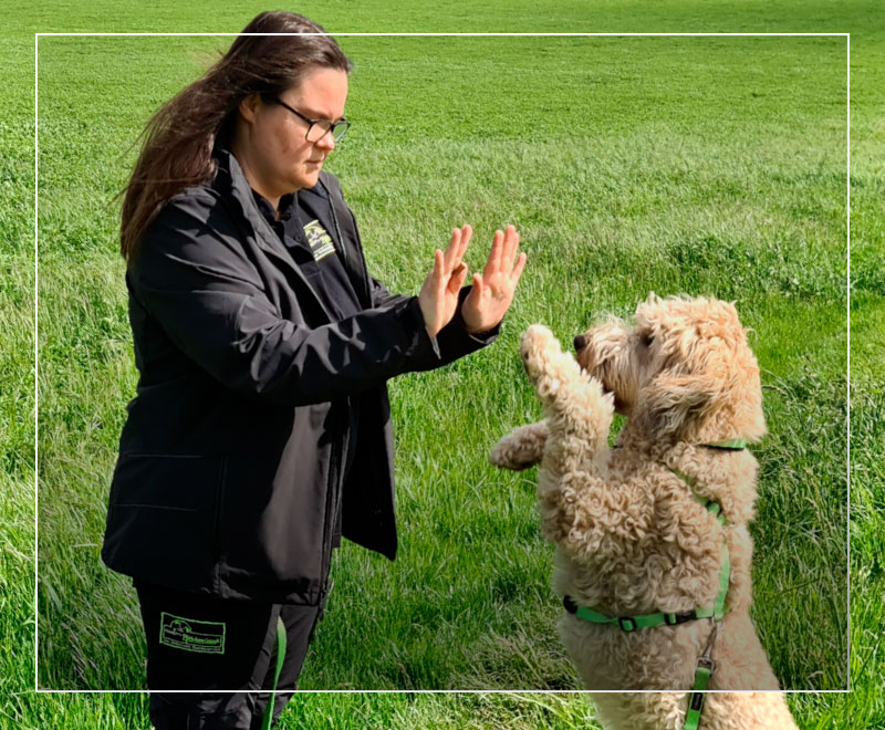 Über Mandy Köster Über Mandy Köster