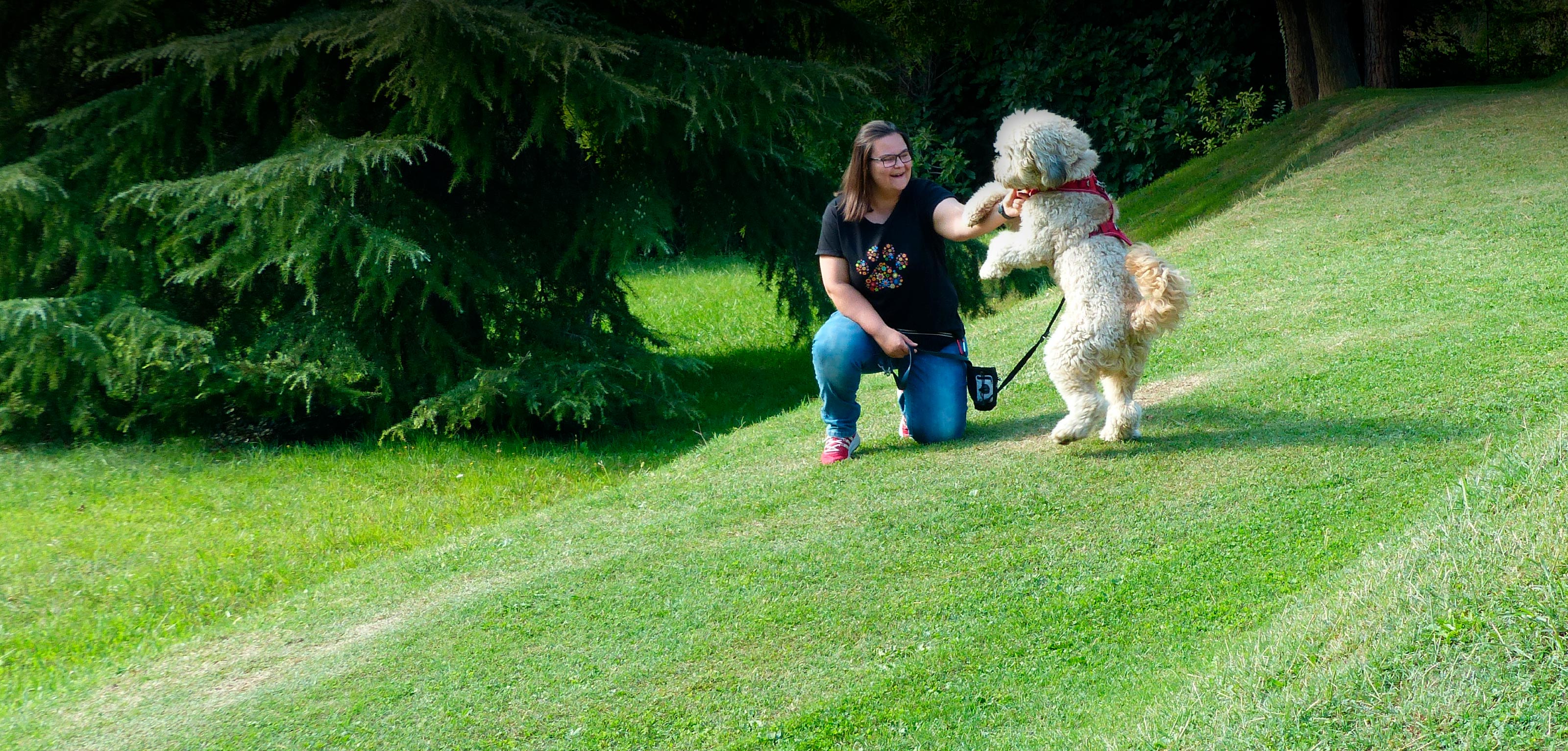 Der liebevolle Hundeservice