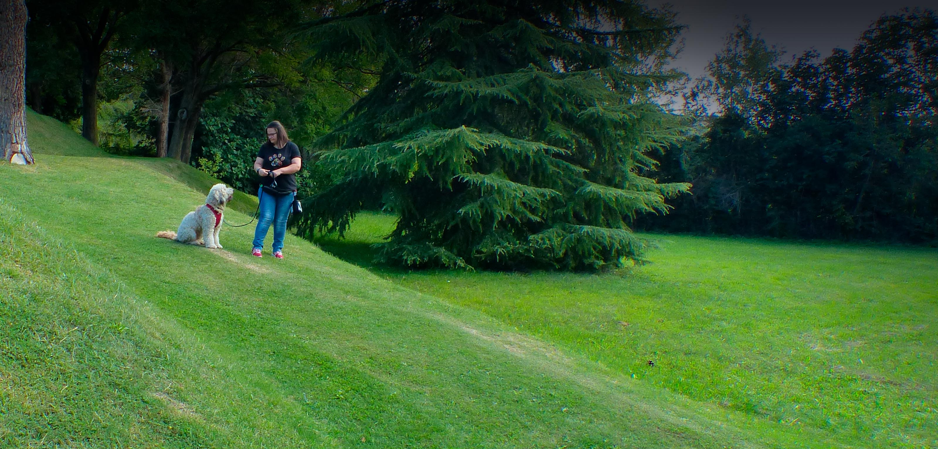 Der liebevolle Hundeservice