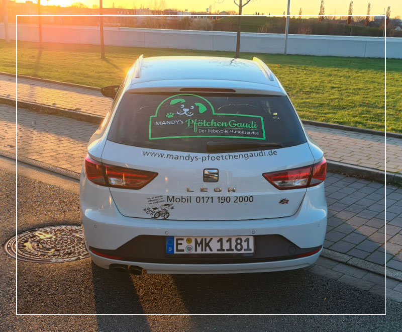 Service Mandy Köster