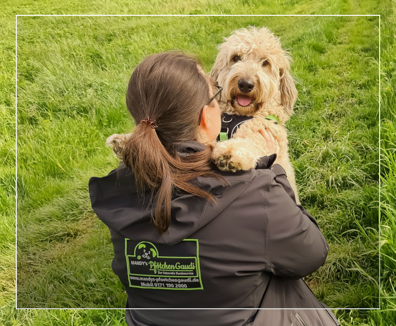 Service Mandy Köster